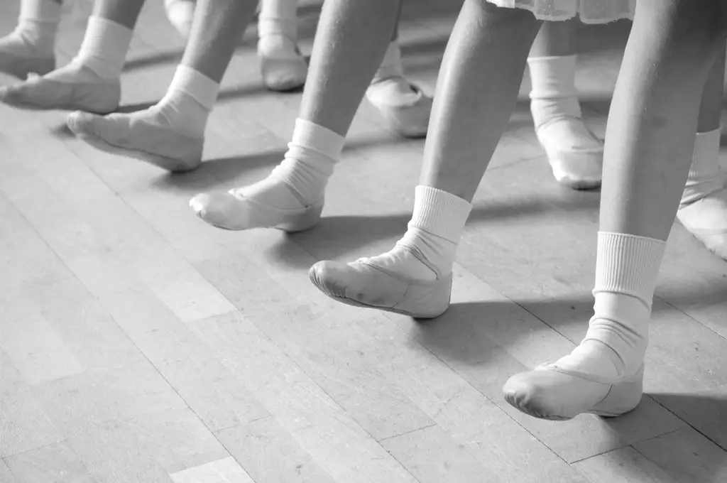 The Dance Company