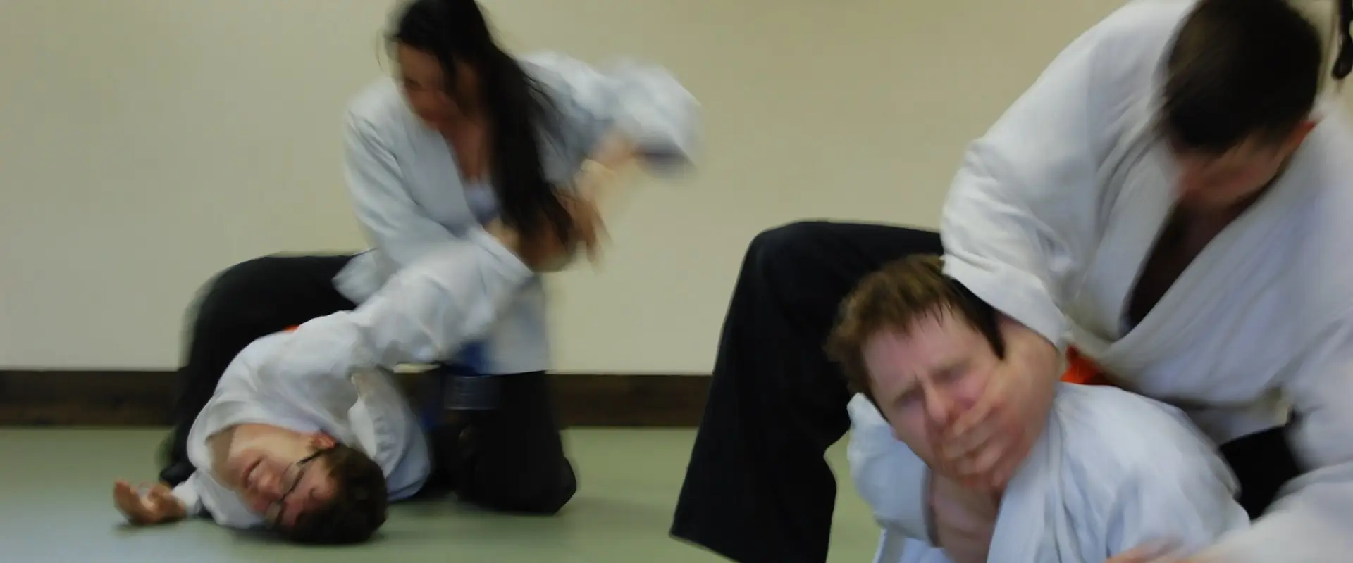 Goshin Ryu Atemi Jujitsu