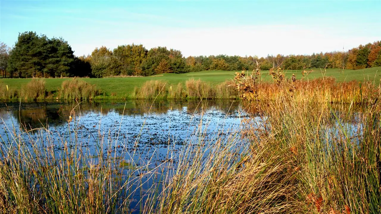 Newton Green Golf Club