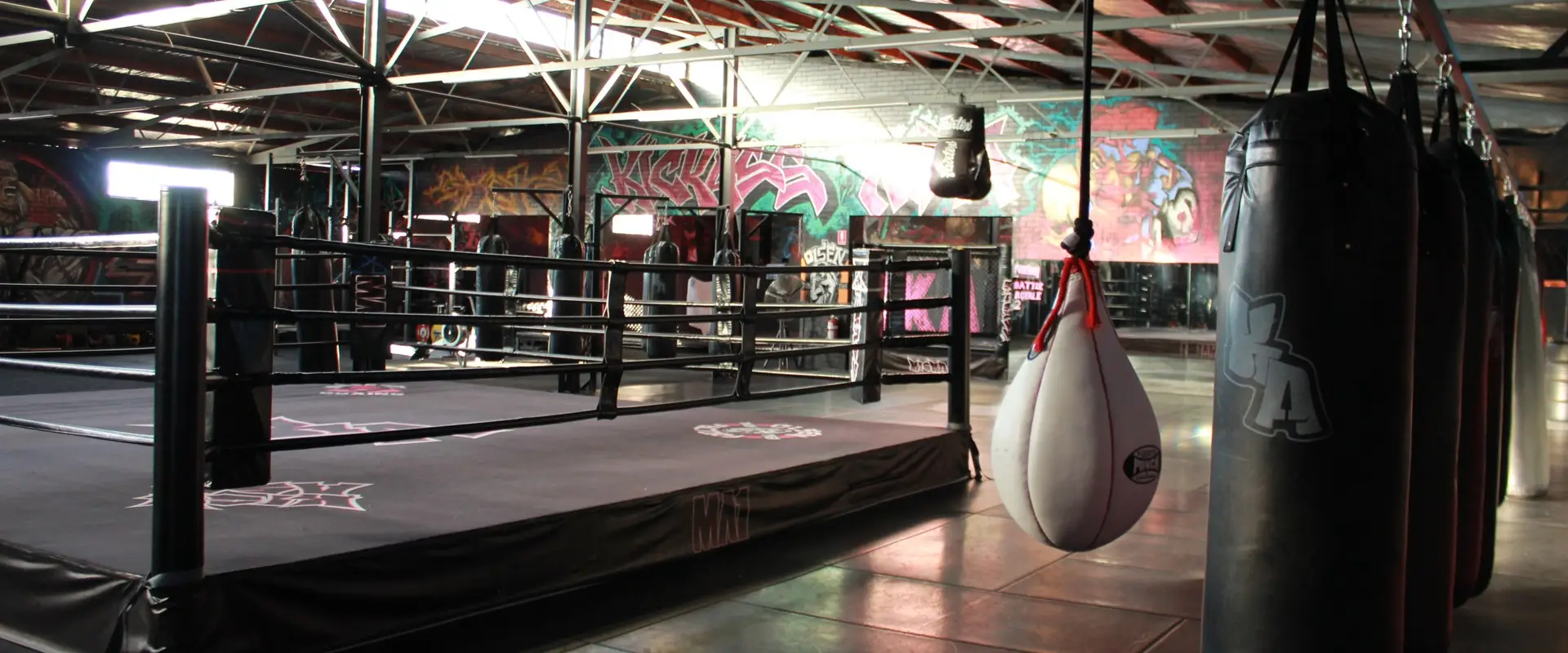 Boxing Professor PTY. LTD