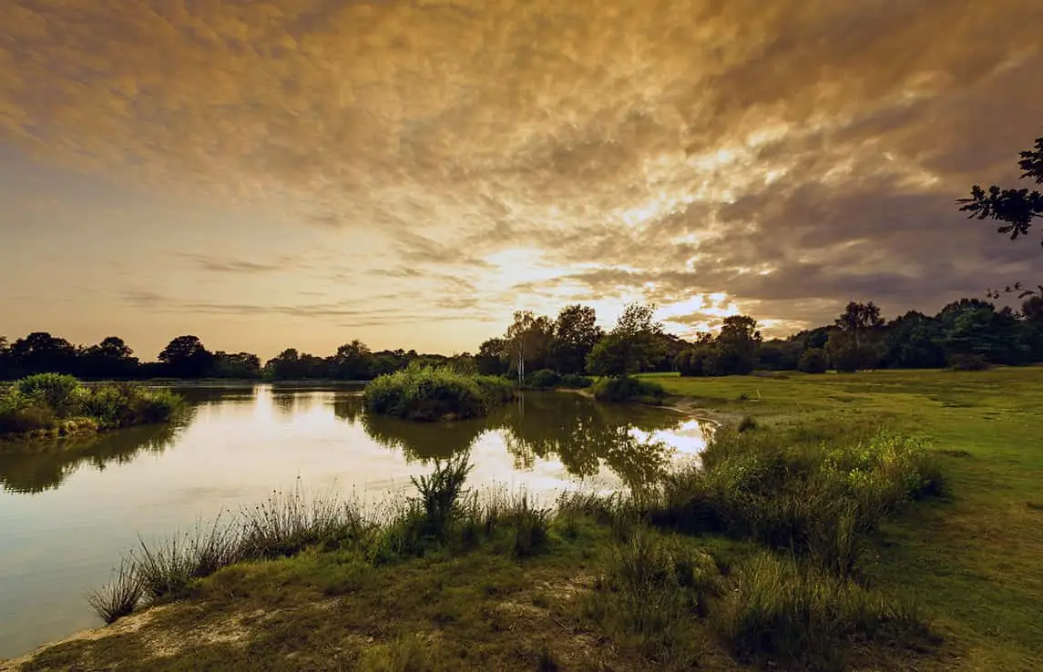 The Piltdown Golf Club