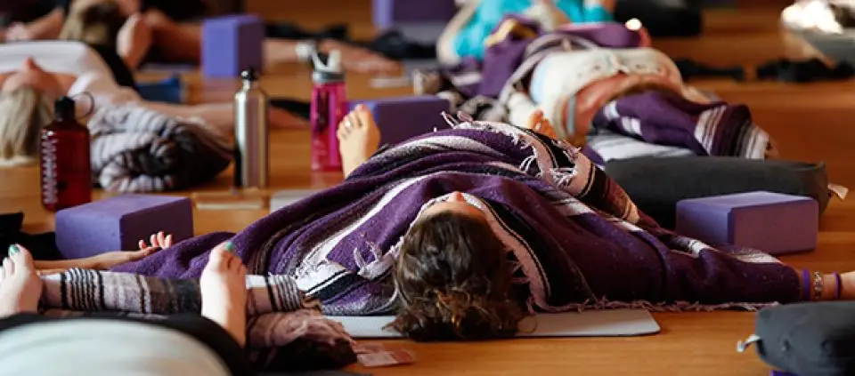 Jeevanaya Wellness