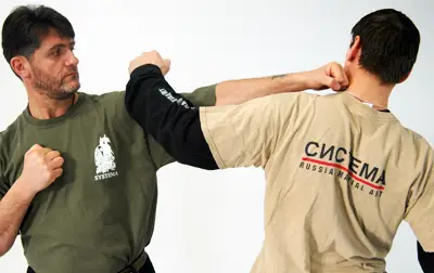 Albi Systema