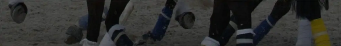 School Riding La Championnerie