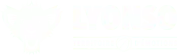 La Canopée - LYONSO Basket