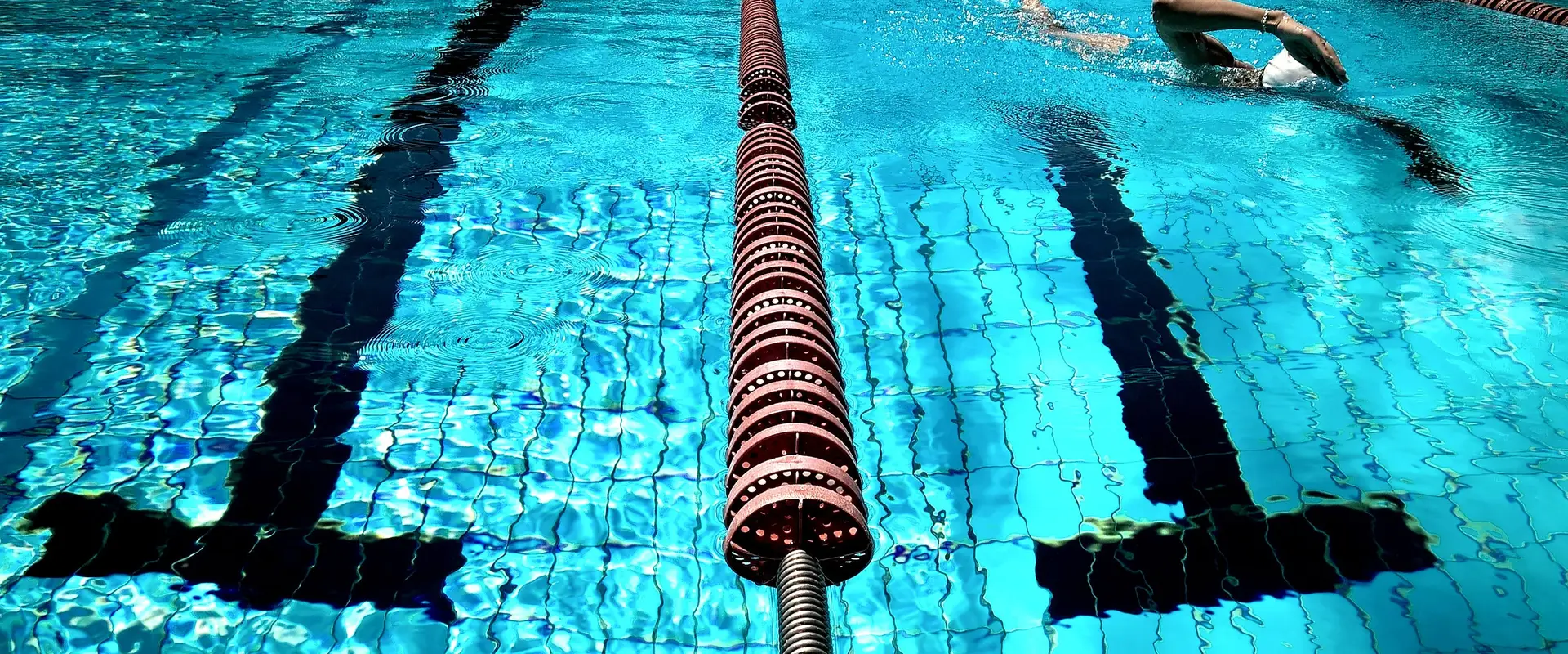 Swim-With-Me - Marks Tey