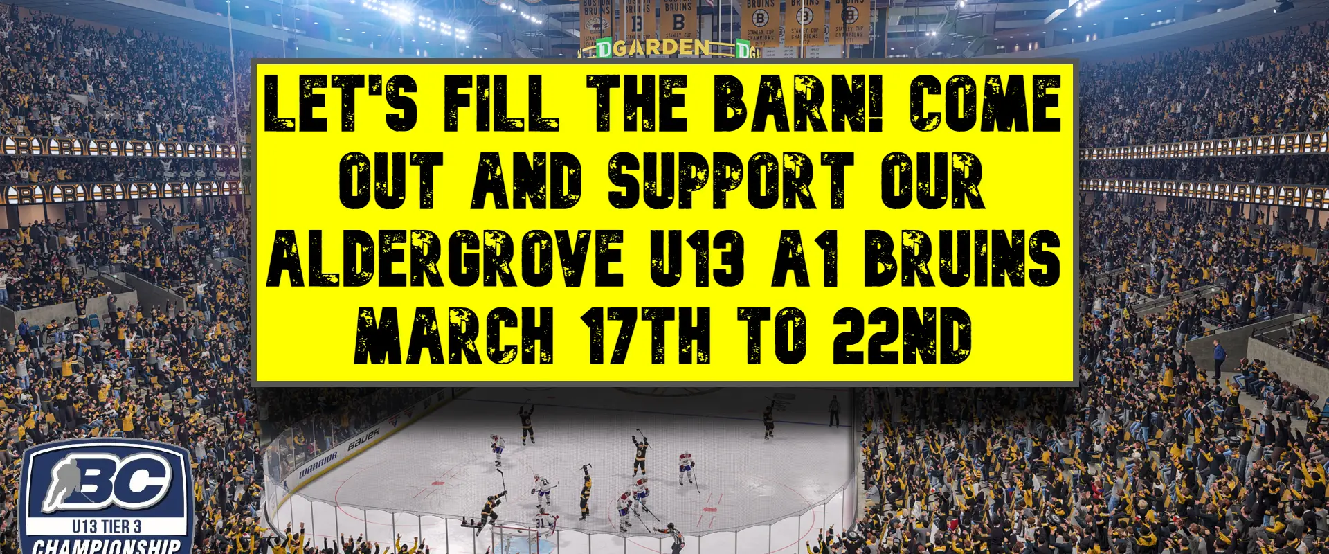 Aldergrove Minor Hockey Association