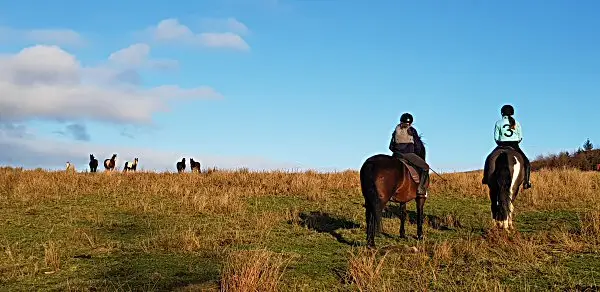 Boltby Trekking Centre