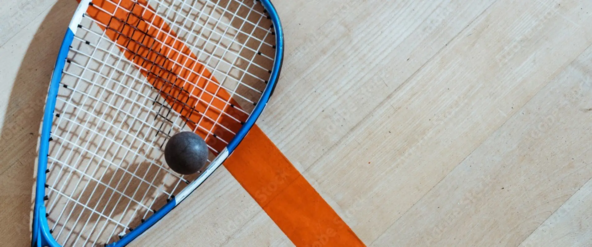 Silverdale Squash Club Inc