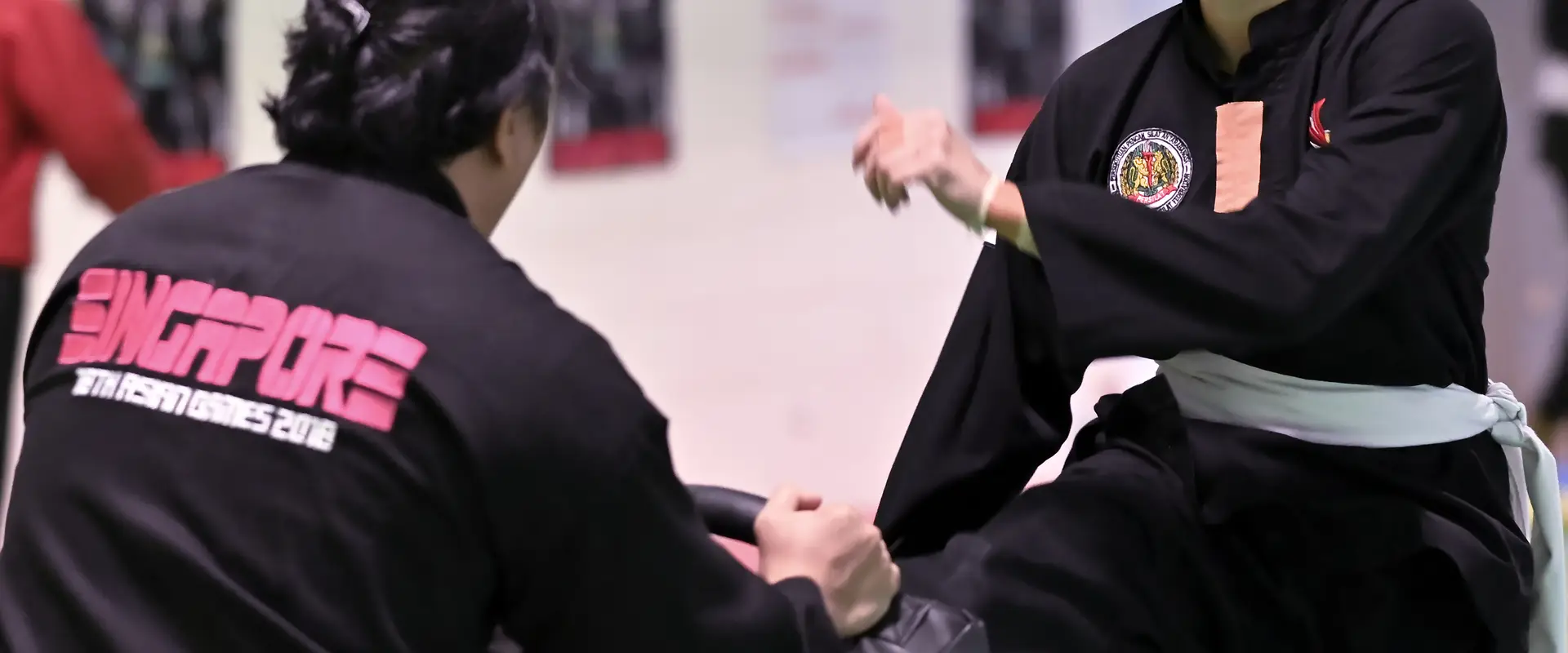 Singapore Silat Federation