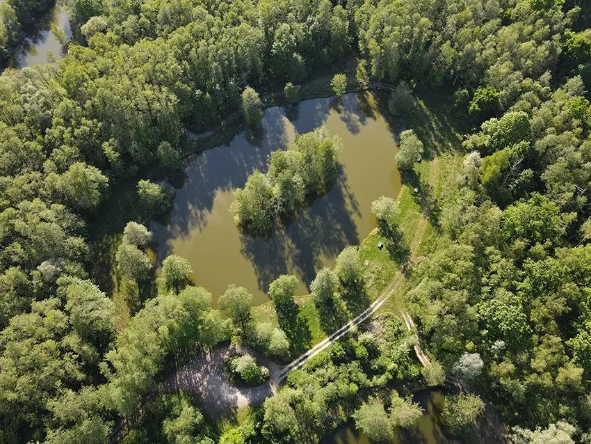Les 6 Étangs du Domaine