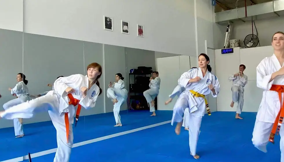 Fighting Spirit Goju Karate