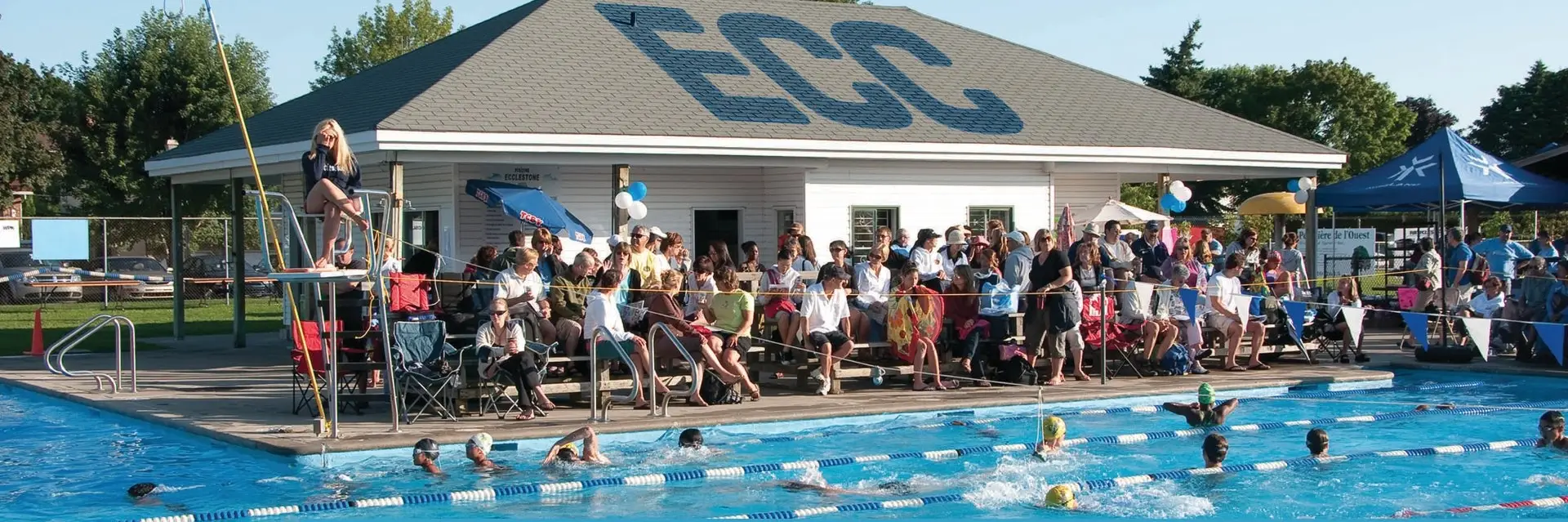 Ecclestone Pool