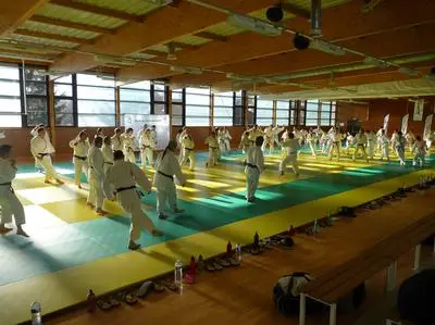 Dojo Du Pays Rochois