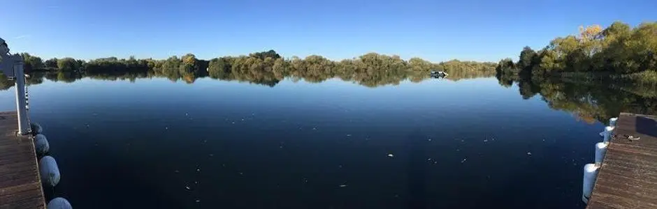 Swim Heron
