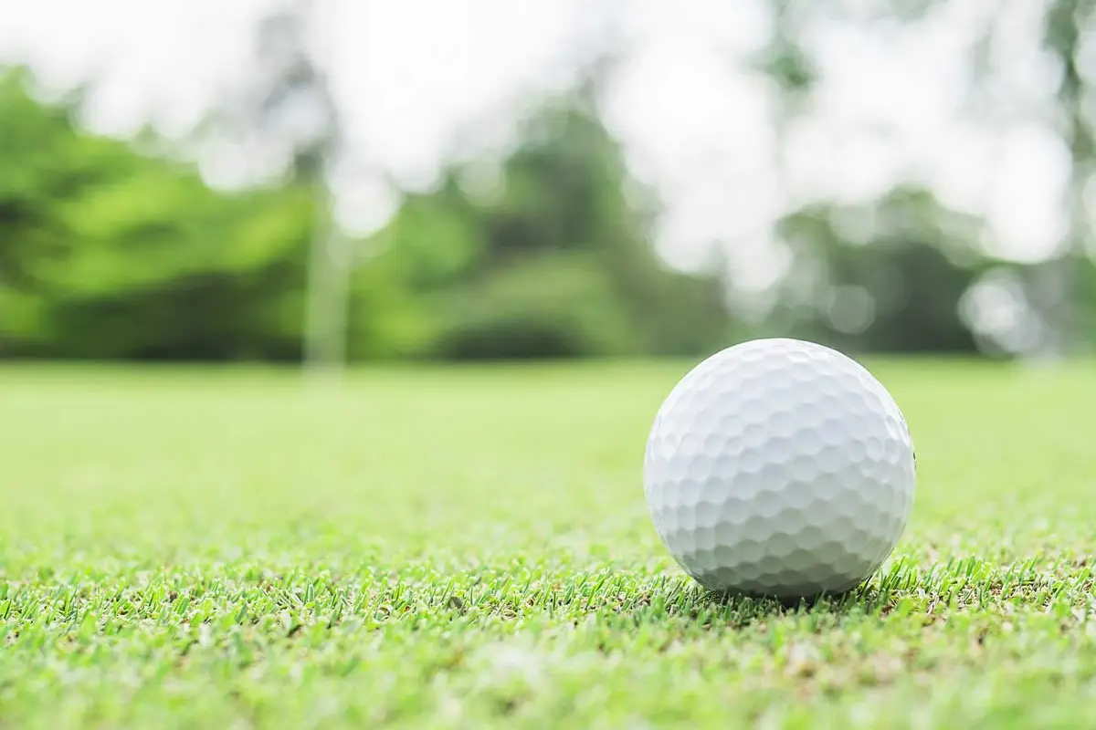 Peter Knight Golf