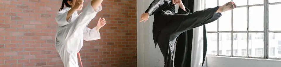 Club Kung Fu Orléans Semoy
