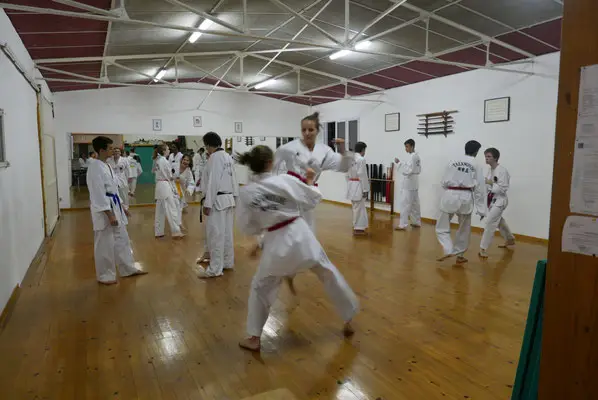 Dojo Expression