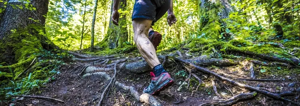 SVER (Stade Valeriquais Endurance Running)