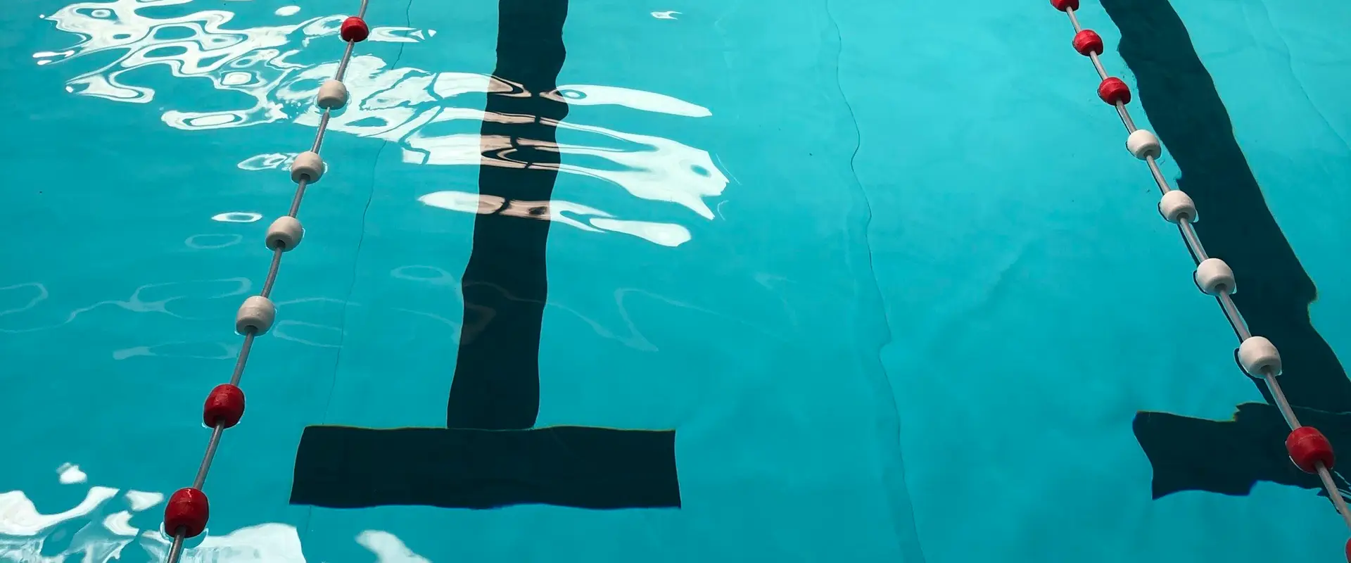 Stacy's school of swimming
