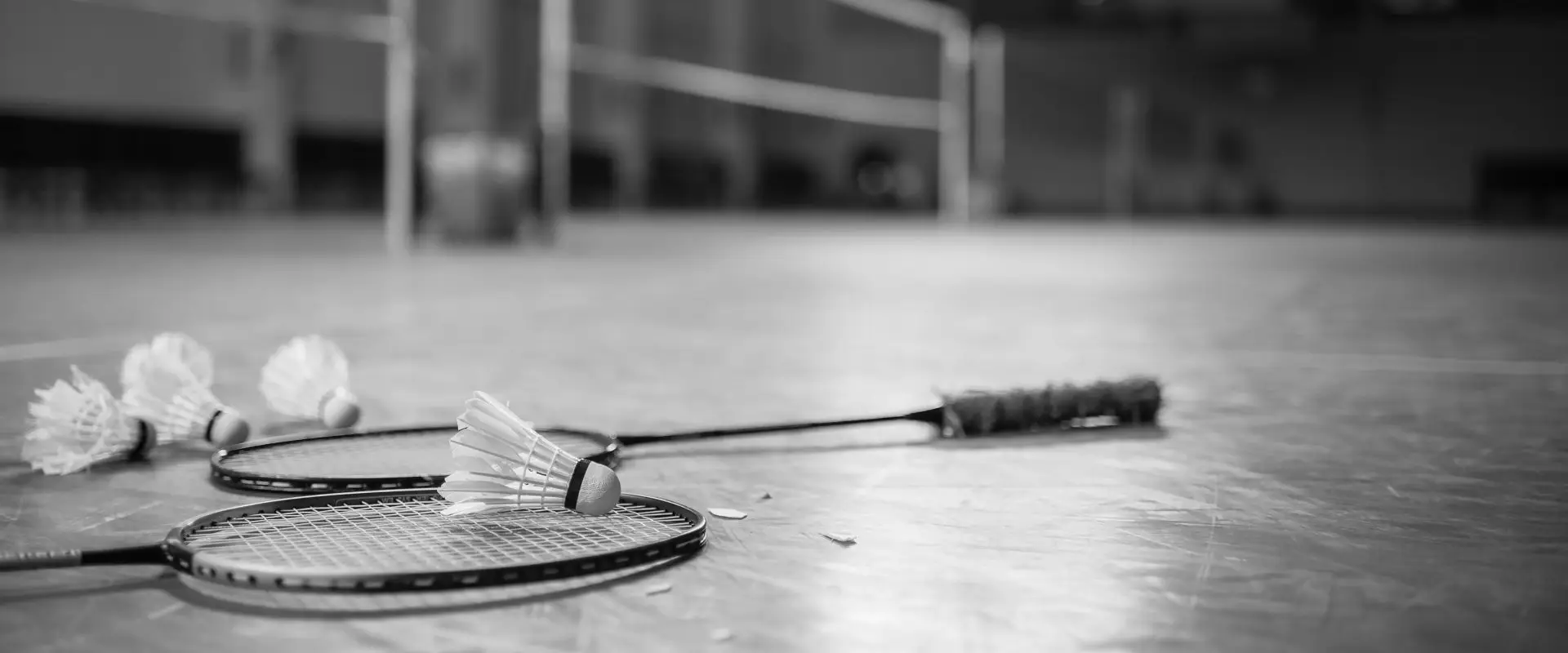 Badminton CODEP 41