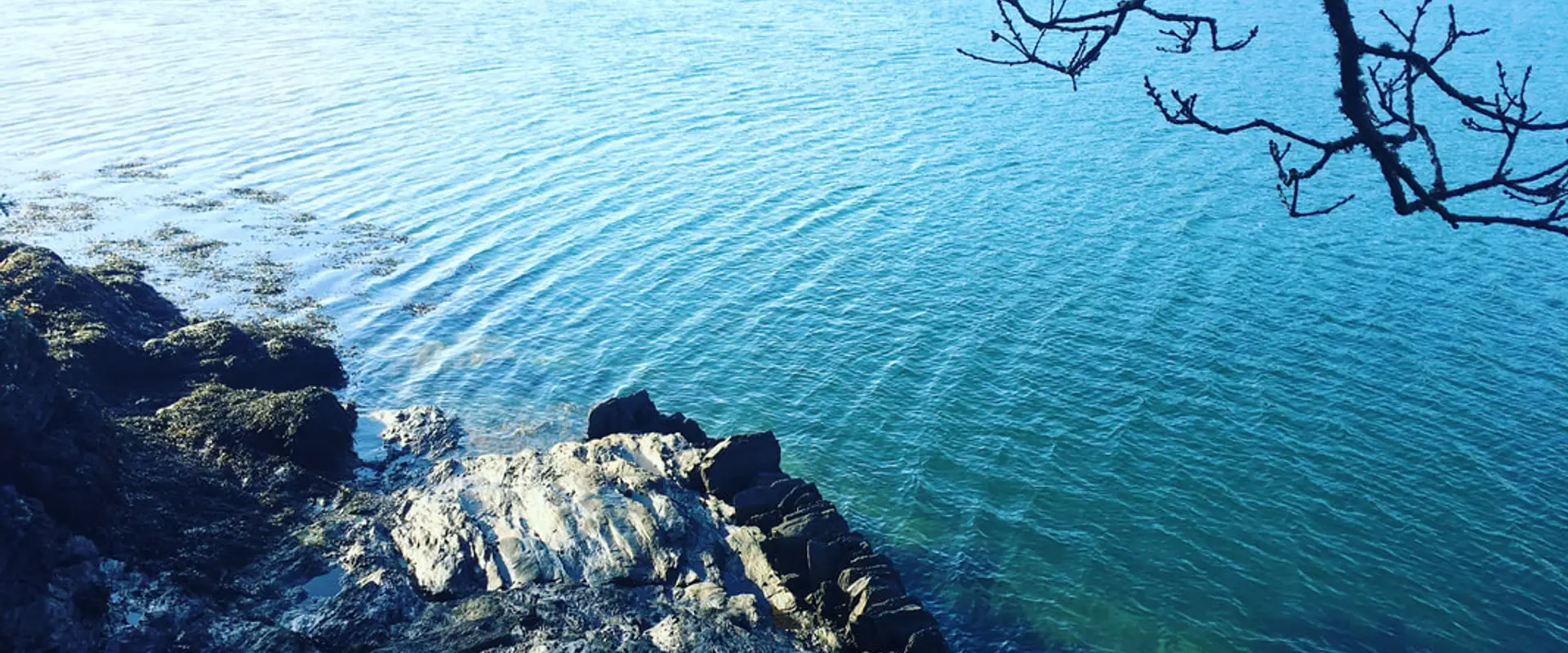 Yoga Like Water