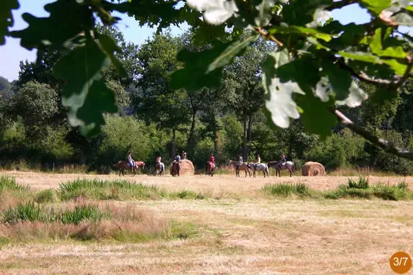 Pony Club Gué De Selle