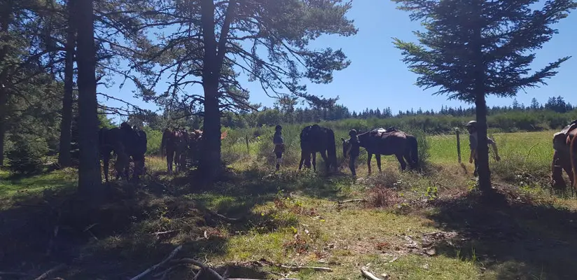 une rando en ardèche