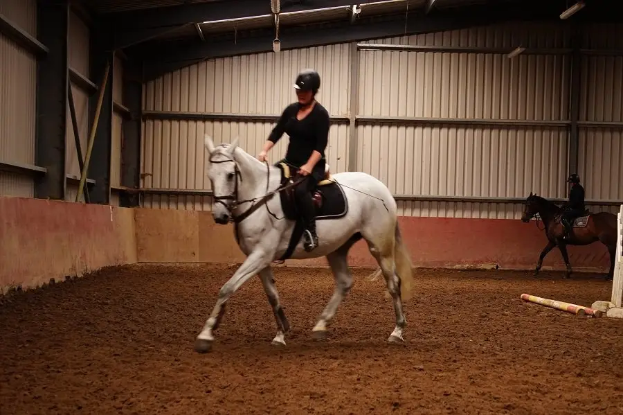 Iceford Stables
