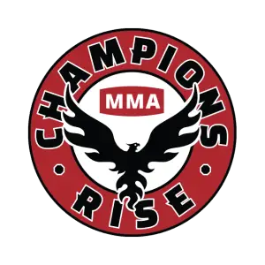 Champions Rise MMA Training Program