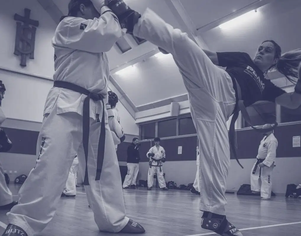 Steven Mclaren Martial Arts (SMMA)