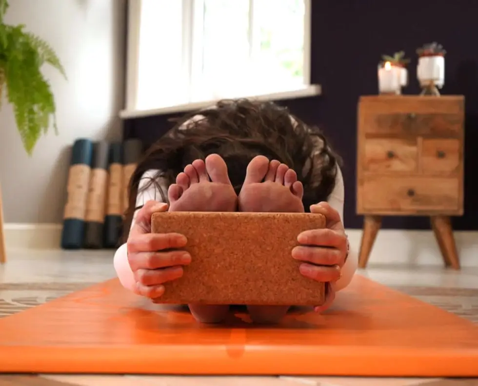 The Hot Yoga Studio