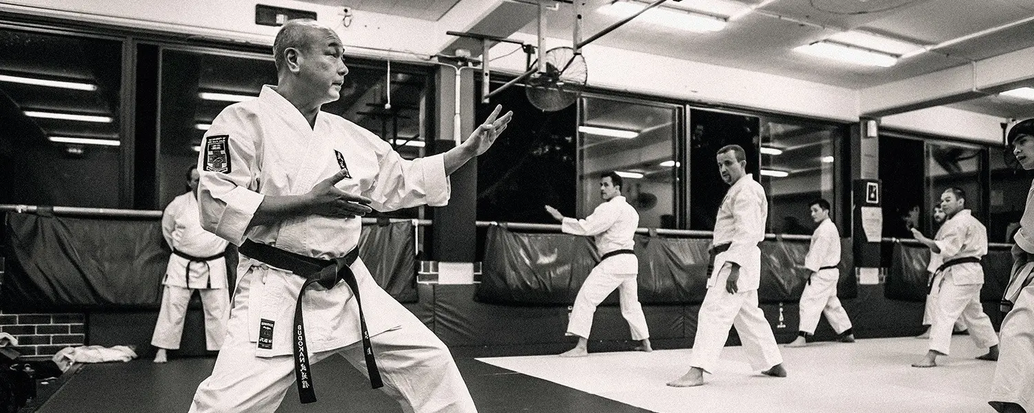 UNSW Karate Club
