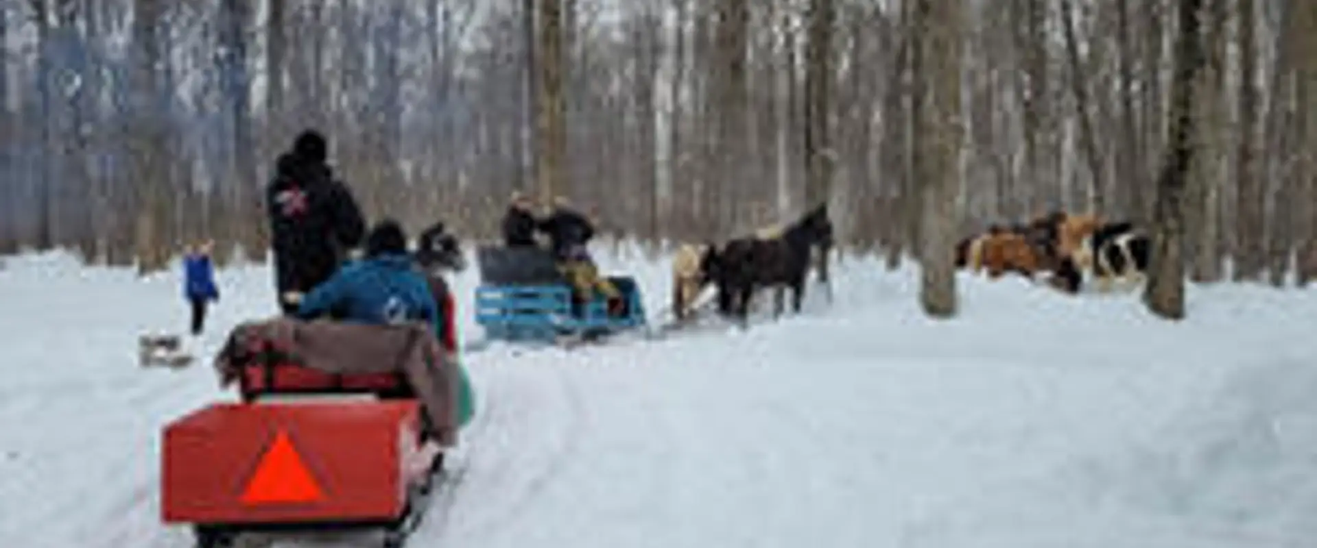 Club des Routiers questres