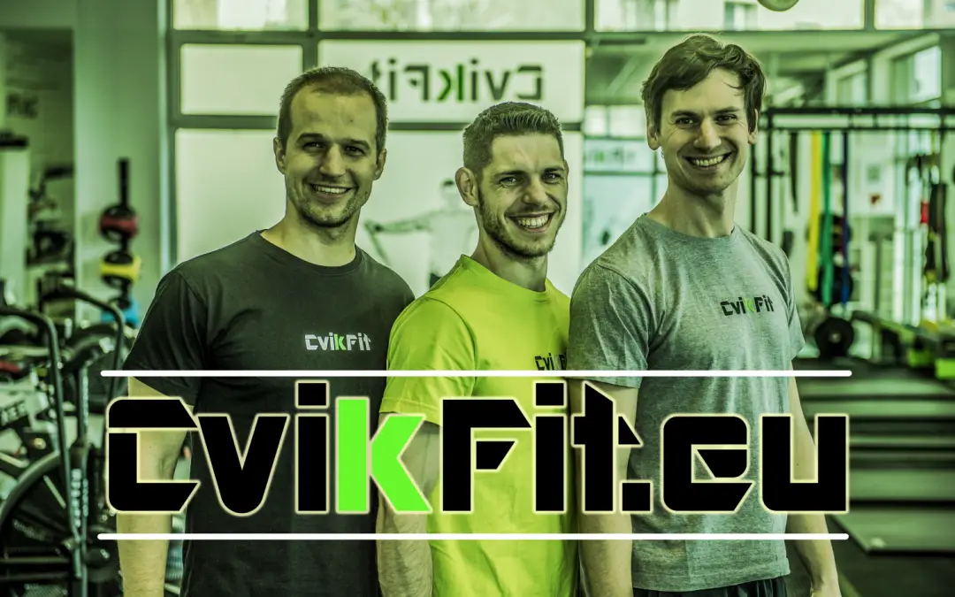Cvikfit