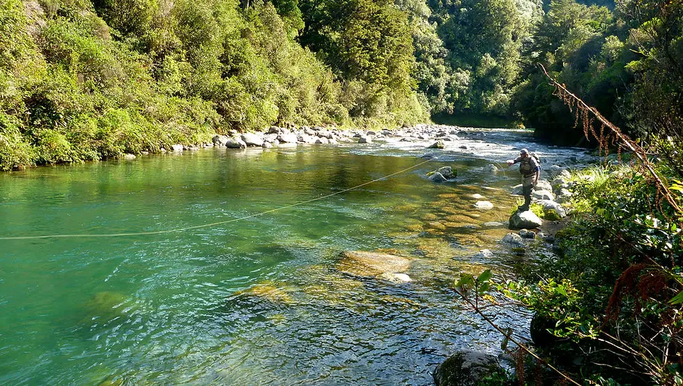 Fishy Steve's Fly Fishing Guide Service