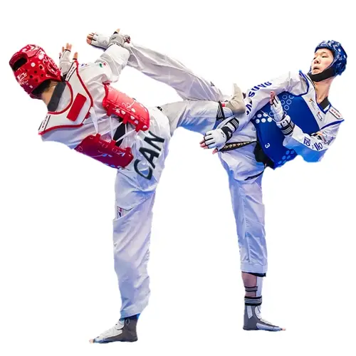 Fire Dragon Taekwondo