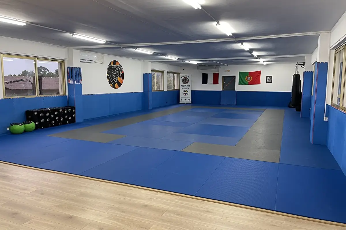 Cobra Kaï Combat 83
