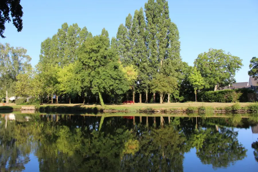 Piscine "Les Dauphins"