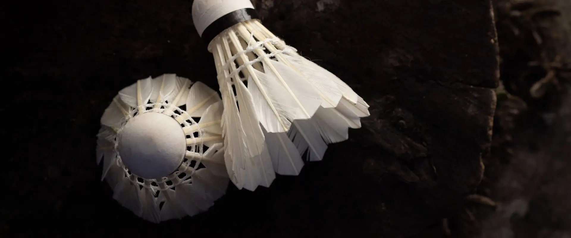 Gosport Borough Badminton Club