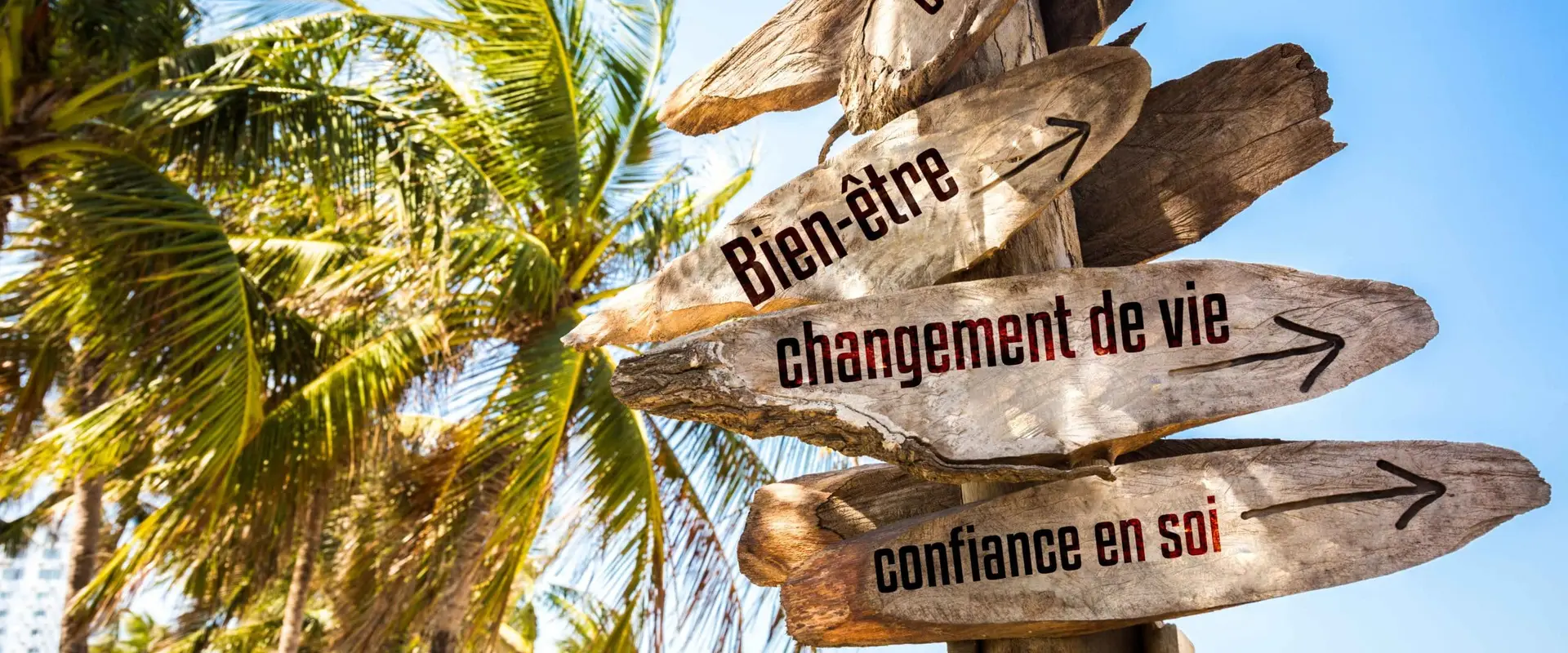 HumaNature Success | Coach en Développement Personnel | Coach Professionnelle Certifée | Praticien PNL