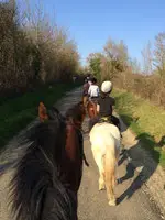 Cottage Equestrian Group Gers :
