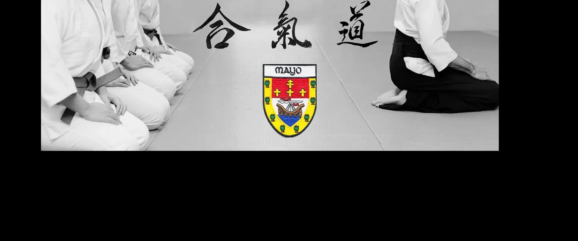 Aikido Mayo