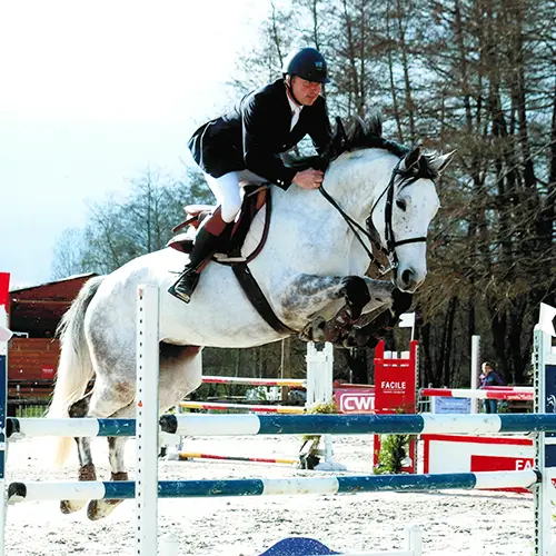 Stud Des L - Equitation