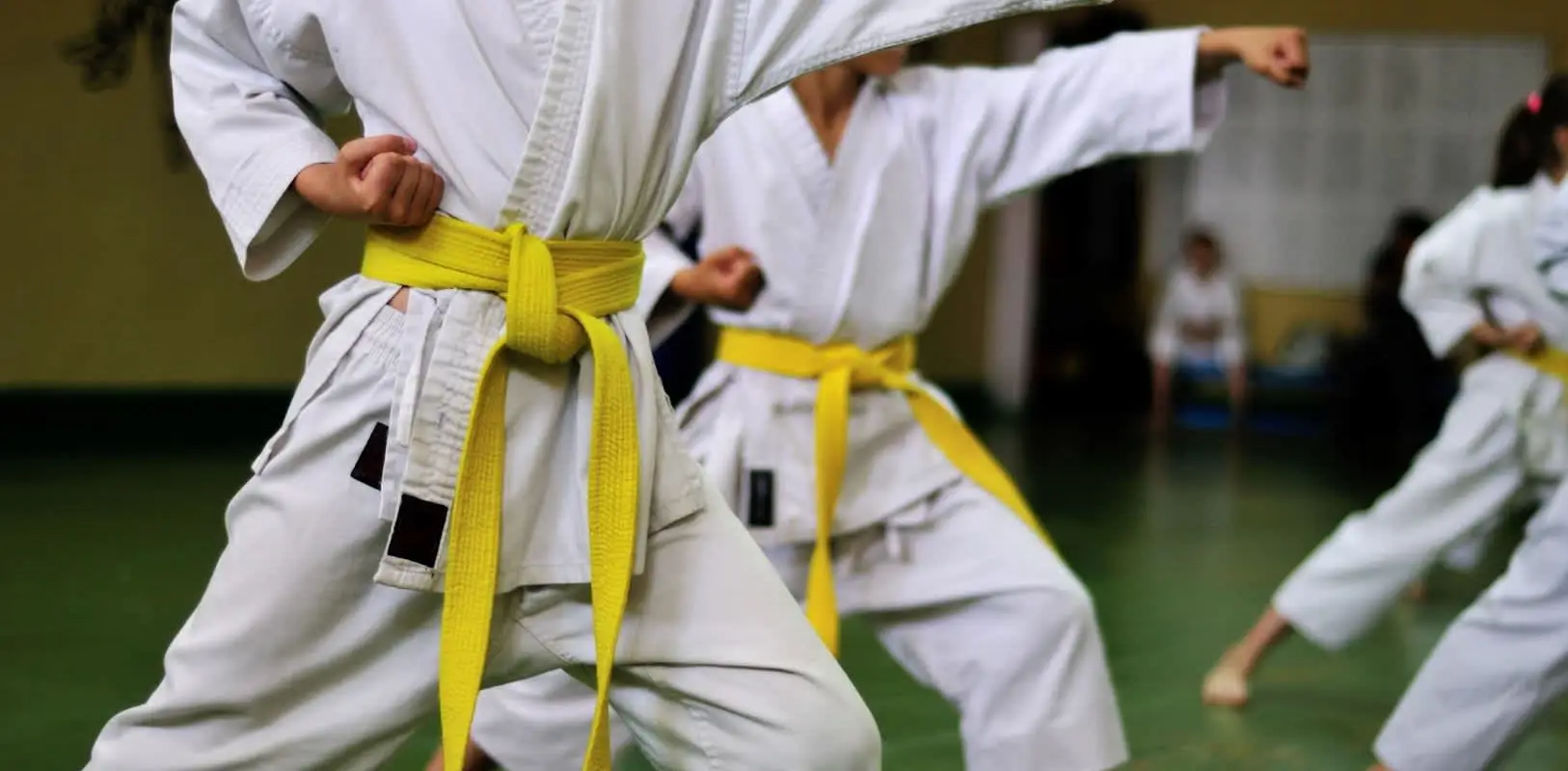 Taekwondo Wolves