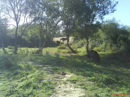 Écurie De La Côte Sauvage/Le Village Des Petits Fermiers