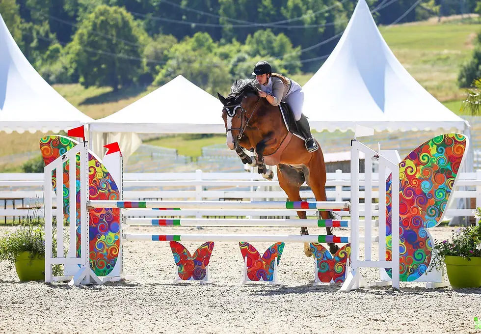 Horse riding school