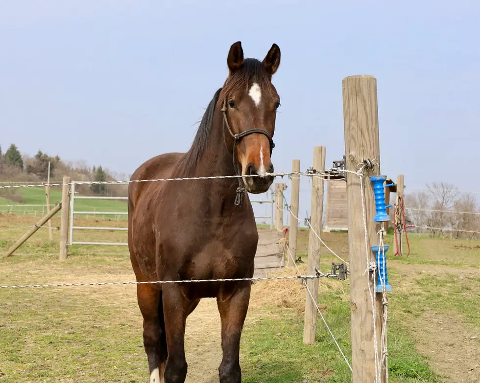 The Stables Cross De La Colline