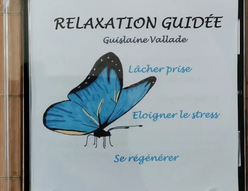 Breizh Yogizen