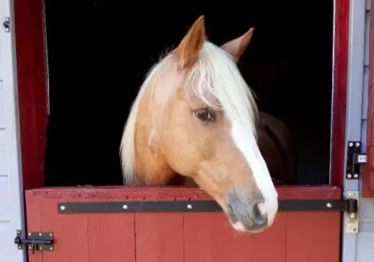 Le Buissonnier Equestrian Center